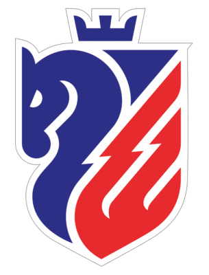 FC Botoșani